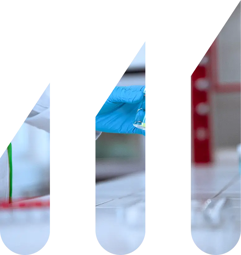 Verified Customer Reviews and Testing Testimonials
